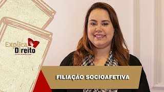 Explica Direito Filiação Socioafetiva  2019 [upl. by Lazes104]